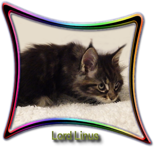 Lord Linus