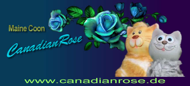 CanadianRose Maine Coon